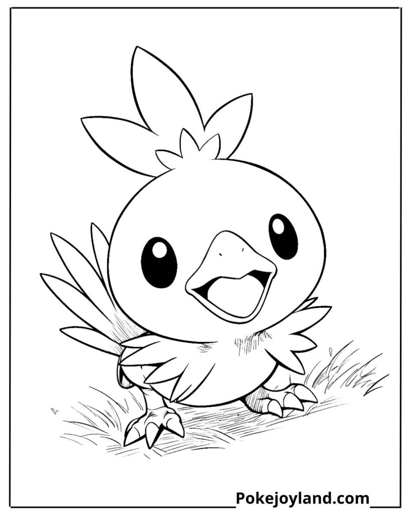 Torchic coloring page