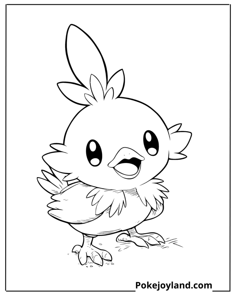 Pokemon Torchic Coloring Page